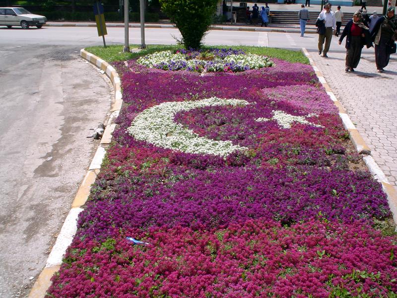 фото "Turkish flag" метки: натюрморт, 