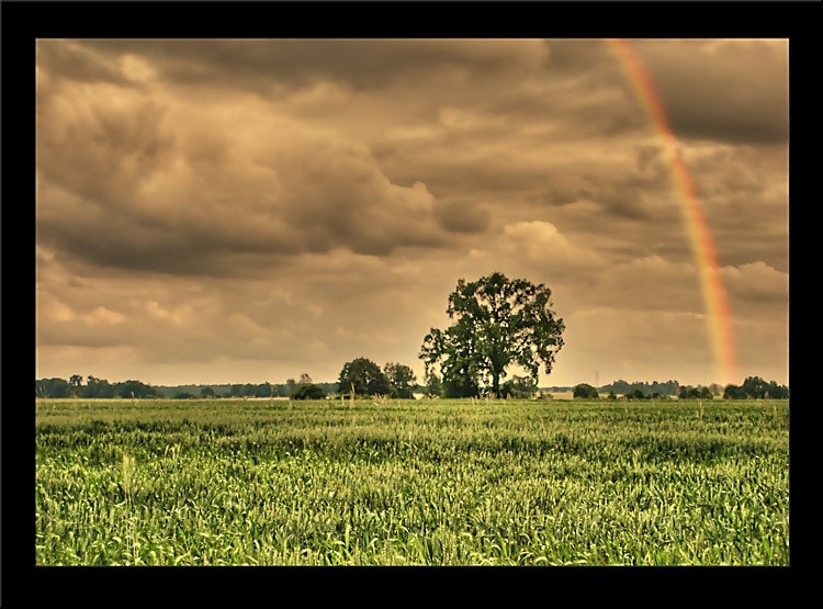 photo "the rainbow" tags: landscape, 