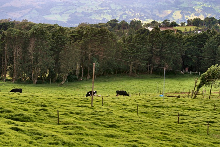 photo "Costa Rica Countryside" tags: travel, landscape, mountains