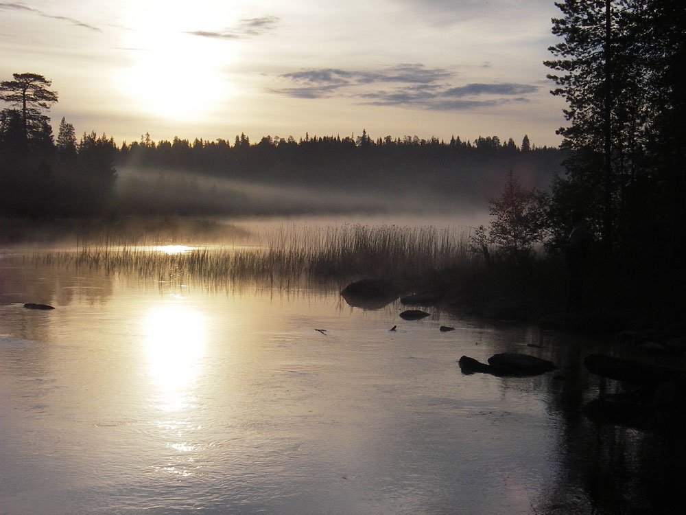 фото "утренний туман" метки: пейзаж, вода, закат