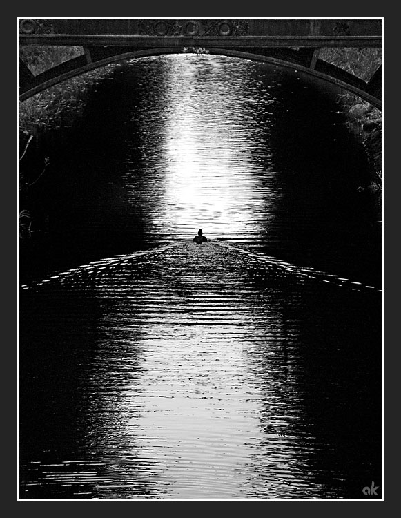 photo "Lone Wanderer" tags: nature, misc., 