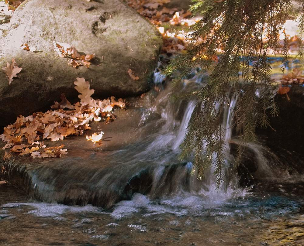Инсталляция бежит вода. Вода бежит. Журчащий ручей осень. Вода бежит ручьями. Осень Ручеек пруд.