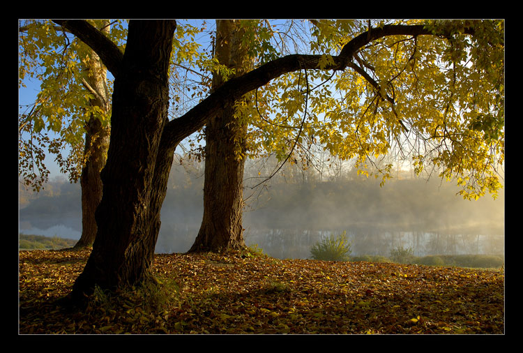 photo "Autumn fairy tale" tags: misc., landscape, autumn