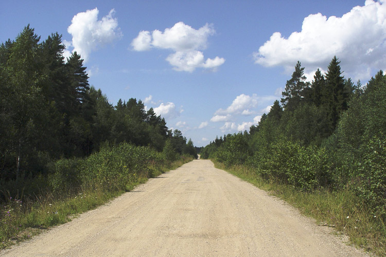 photo "road" tags: landscape, summer