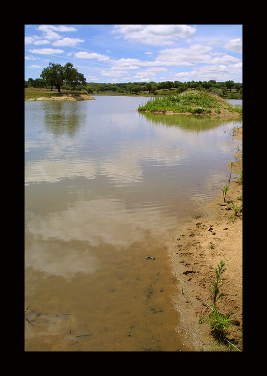 photo "lake and clouds" tags: landscape, clouds, water