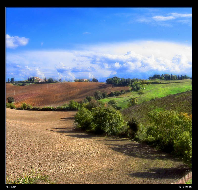 photo "Boundaries" tags: landscape, clouds, forest