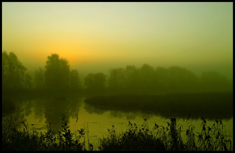 photo "Misty morning" tags: landscape, autumn