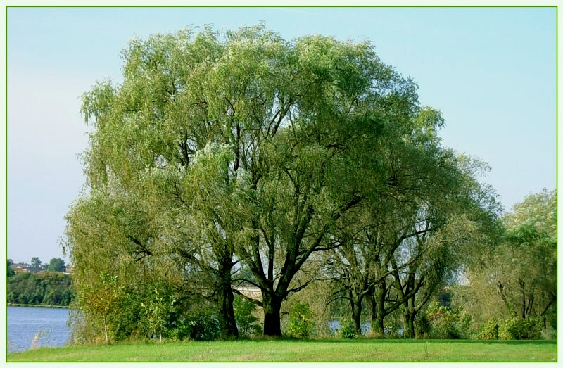 фото "...." метки: пейзаж, 