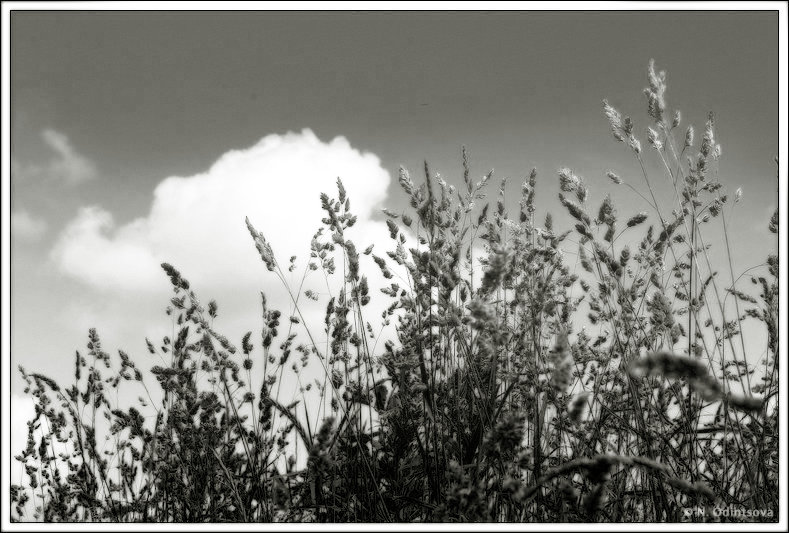 photo "***" tags: landscape, 