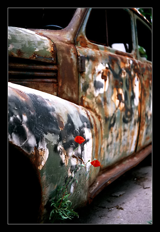 фото "***" метки: разное, 