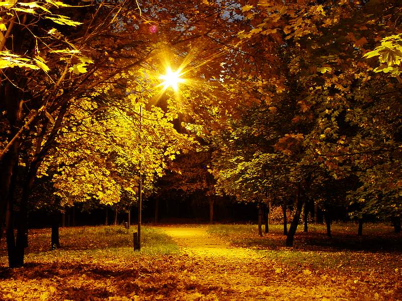photo "... Night.. Autumn..." tags: landscape, autumn, night