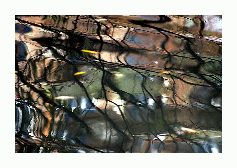 фото "Осенний каламбур" метки: абстракция, пейзаж, осень