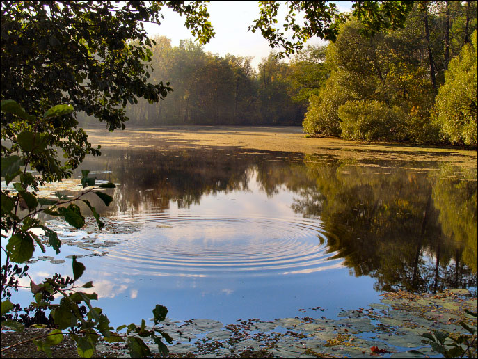 photo "September." tags: landscape, autumn, water