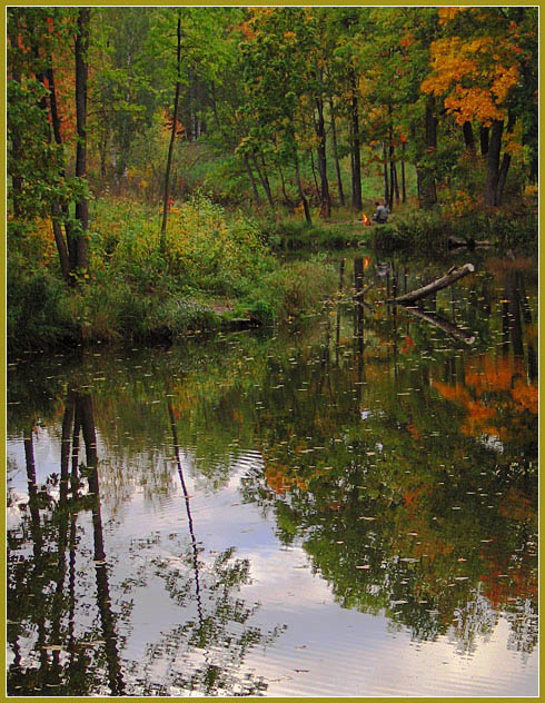 photo "In an autumn wood" tags: landscape, forest