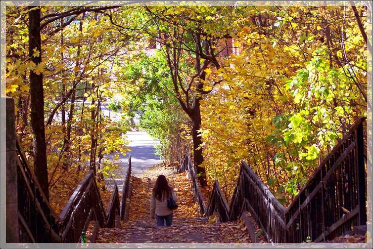 фото "Оставляя осень за спиной" метки: пейзаж, лес, осень