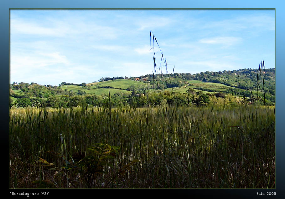 photo "Not only the corn" tags: landscape, spring