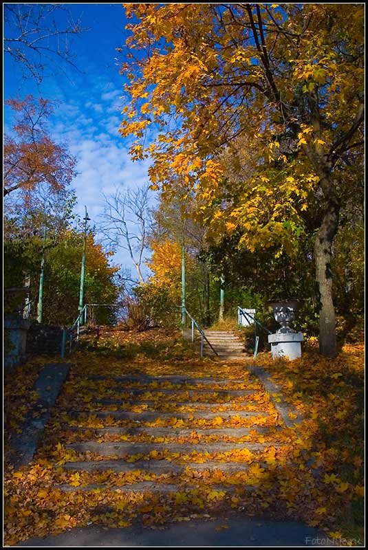 photo "Old stairs" tags: misc., landscape, autumn