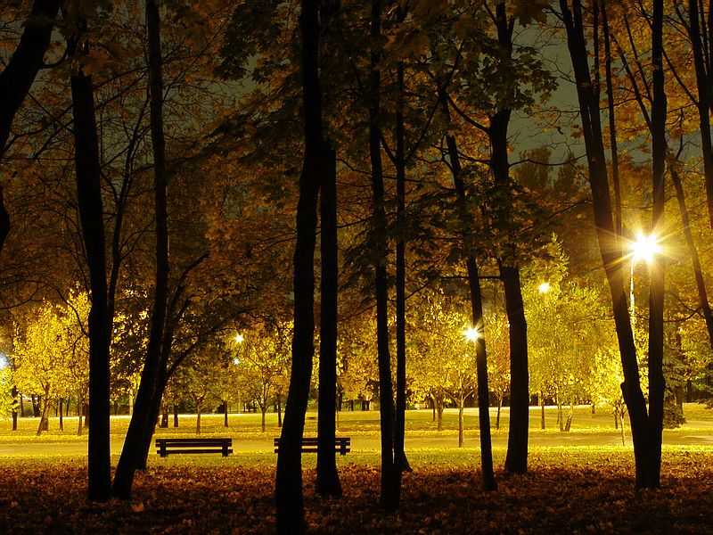 photo "... Night.. Autumn..." tags: landscape, autumn, night