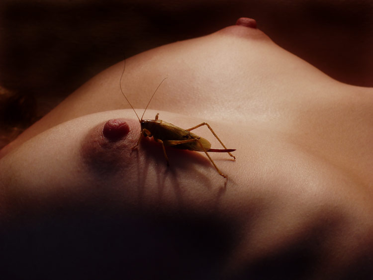 photo "Knowledge" tags: nude, nature, insect