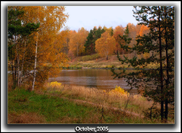photo "OCTOBER" tags: nature, 