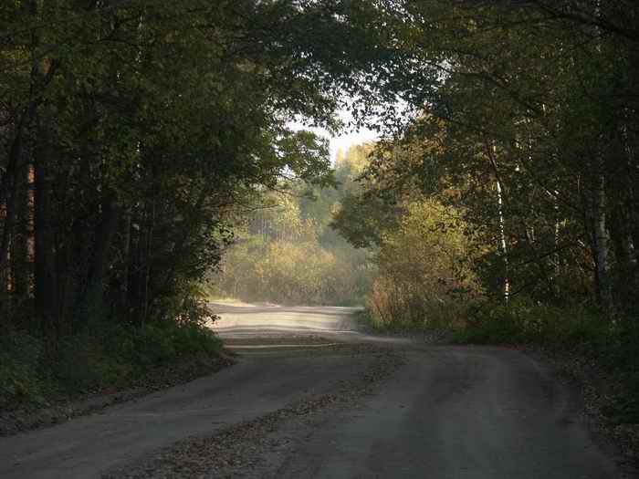 photo "Тravelling" tags: landscape, autumn