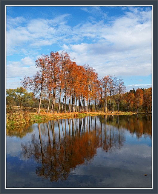 photo "Transparent autumn picture" tags: landscape, autumn, water