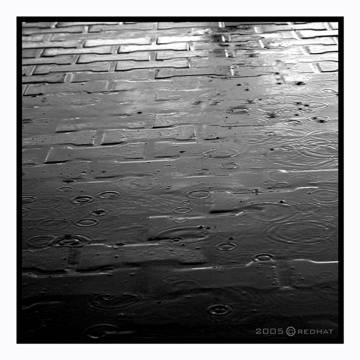photo "Untitled photo" tags: black&white, 