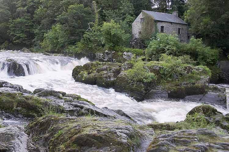 photo "Cenarth Falls" tags: landscape, water