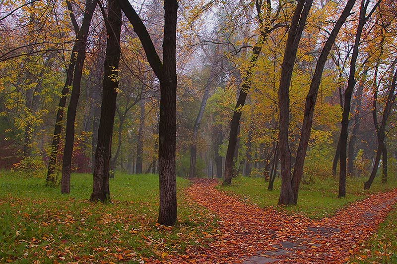 photo "park in fall" tags: landscape, autumn