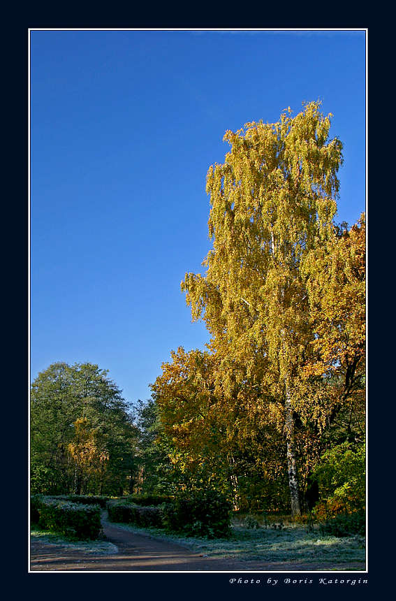 photo "And autumn . . ." tags: landscape, autumn, forest