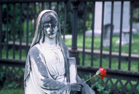 photo "MARY WITH RED ROSE" tags: misc., landscape, summer