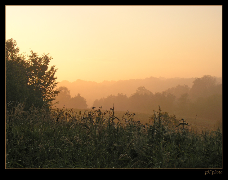 photo "foggy morning" tags: landscape, travel, sunset