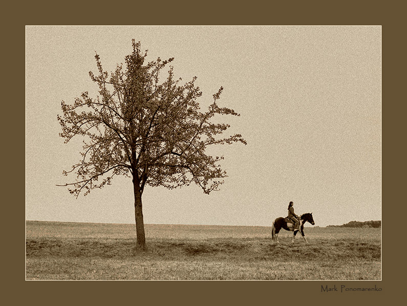 фото "про вечер, дерево и уставшую, пятнистую лошадь..." метки: жанр, 