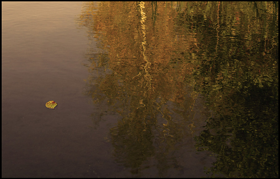 photo "Colors of autumn" tags: landscape, water