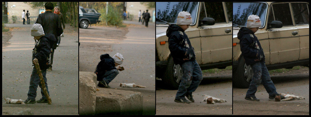 фото "Безразличие и жестокость" метки: разное, 