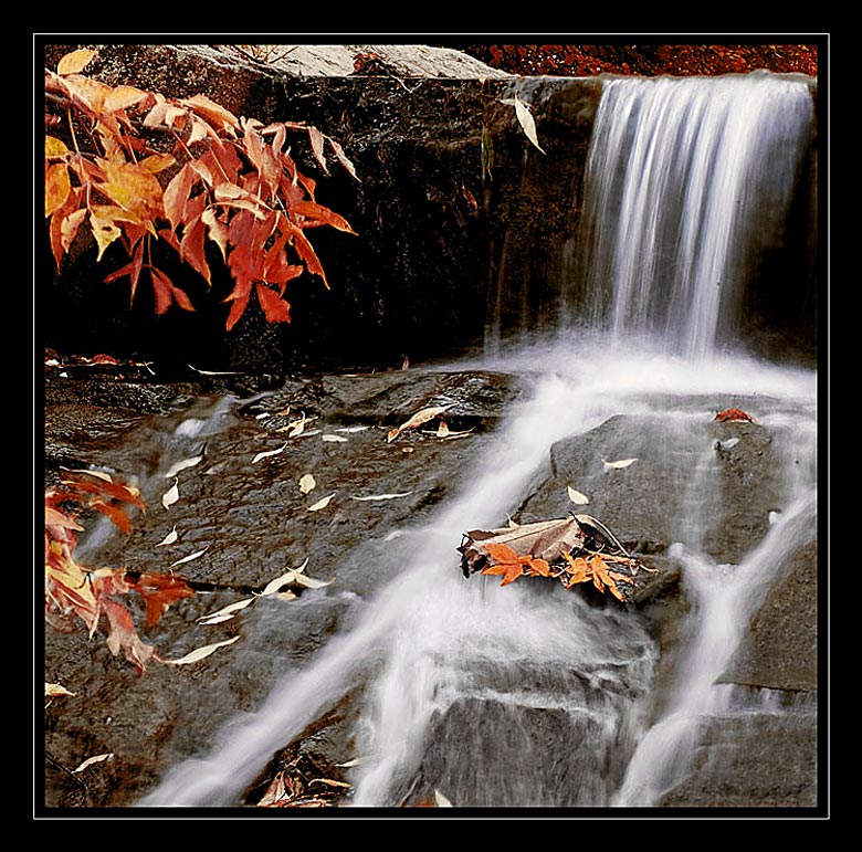 photo "rivulet" tags: landscape, autumn, water