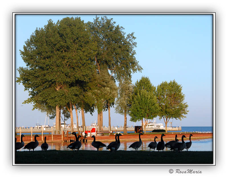 photo "Silhouettes" tags: travel, landscape, North America, water