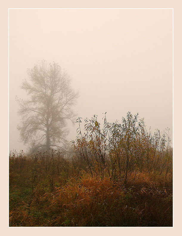 photo "... there behind fogs" tags: landscape, autumn, forest