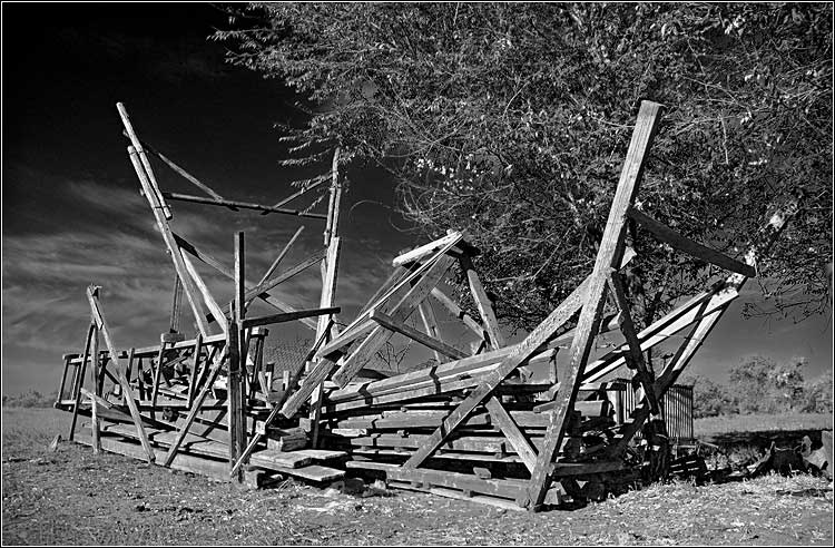 photo "Born to creep" tags: black&white, landscape, 