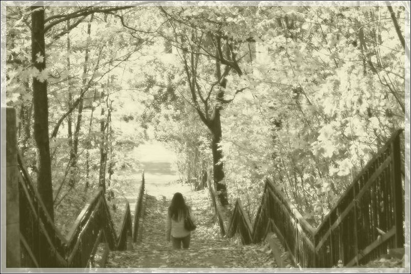 photo "Leaving autumn behind a back (b/w)" tags: landscape, autumn, forest