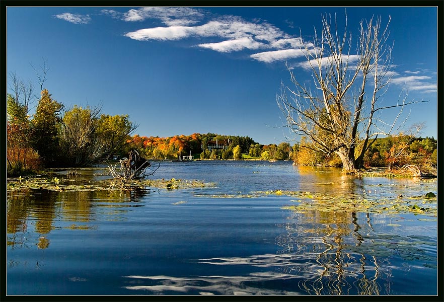 photo "Cloudyfallish Picture" tags: landscape, autumn, clouds