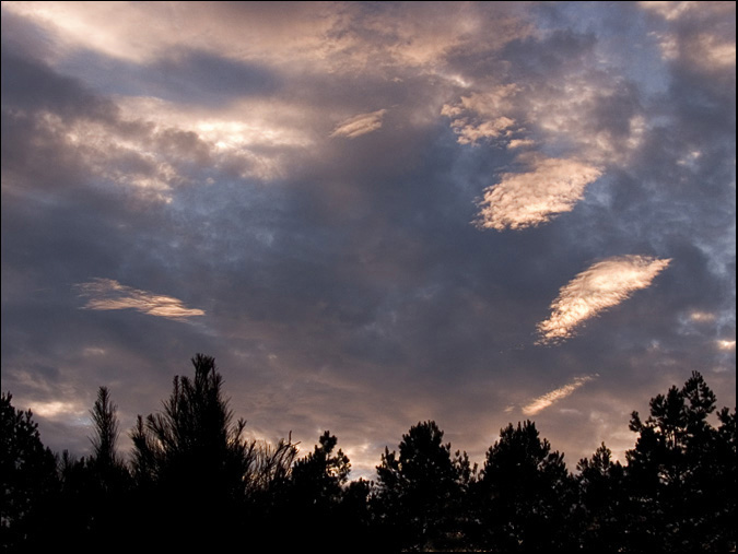 photo "Evening Song" tags: landscape, clouds, sunset
