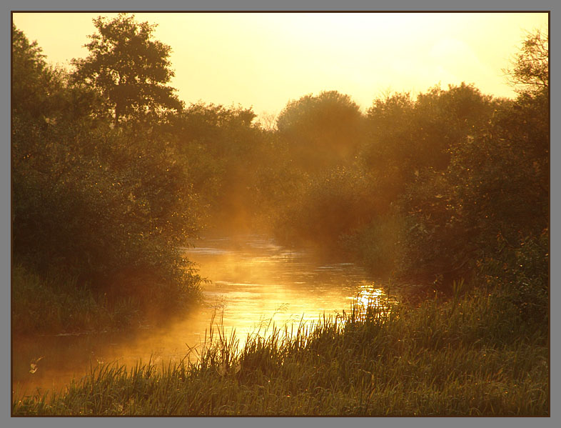 photo "Gold river" tags: landscape, sunset, water