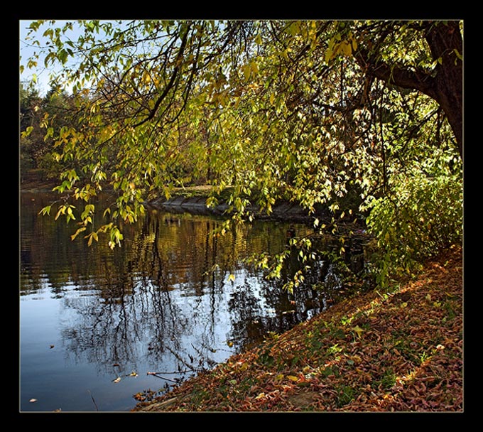 photo "***" tags: landscape, autumn, forest