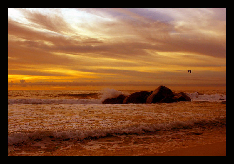 photo "flight to light" tags: landscape, water