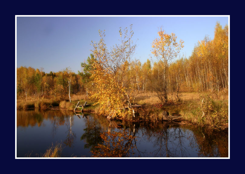 photo "***" tags: landscape, autumn, water