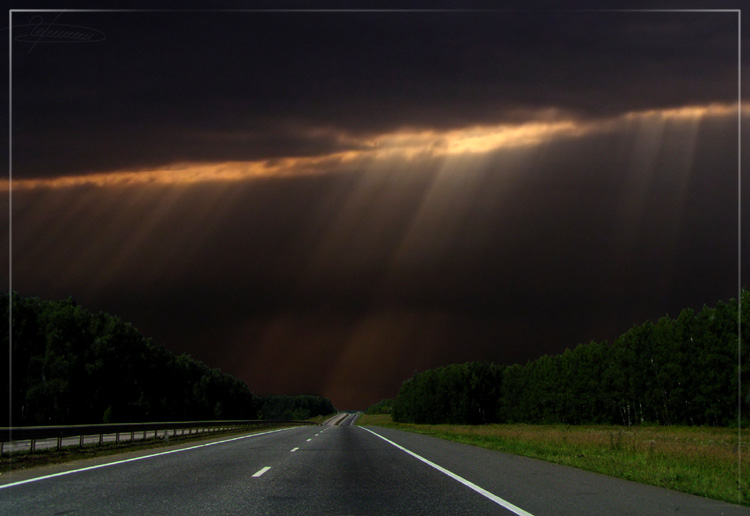 photo "Into the distance." tags: landscape, forest, sunset