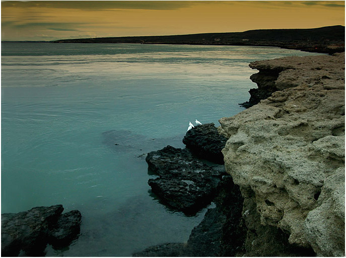 photo "waiting for..." tags: landscape, nature, water