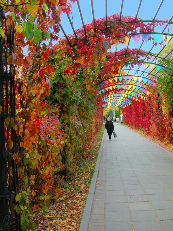 photo "Triumph  Arch for the leaving Summer" tags: misc., 