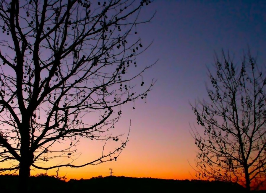 фото "Rural sunset" метки: пейзаж, закат